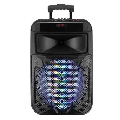 China No factory wholesale price 12 inch cart speaker karaoke party speaker for sale