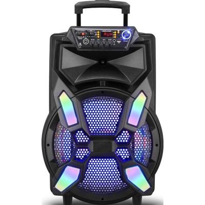 China No Brand New High Quality 15 Inch Powered Cart Speaker For Outdoor Party for sale