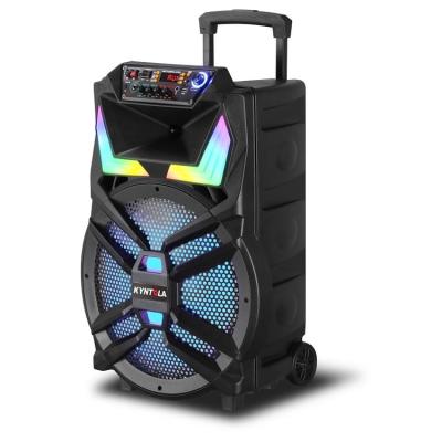 China None High Performance 45W Outdoor Portable 15 Inch Trolley Speaker With Wireless MIC for sale