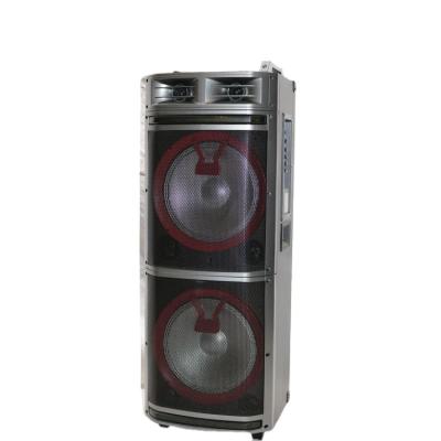 China No New Design 2020 Double Sound Professional Outdoor Karaoke Speaker 12 Inch for sale