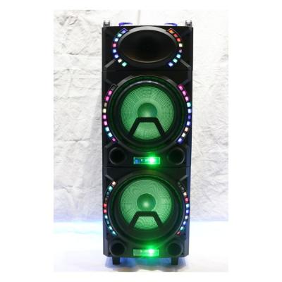 China No factory source karaoke speaker good quality double 12 inch for outgoing for sale