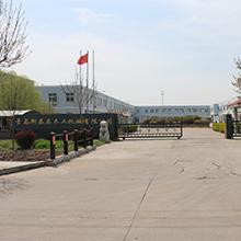 Verified China supplier - Qingdao Steeler Woodworking Machinery Co., Ltd.