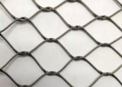 China SS316 Zoo Aviary Mesh 50*50 High Strength Zoo Enclosure Mesh for sale