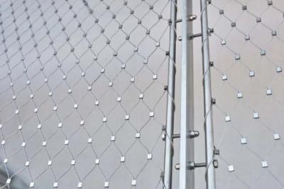 China 316 Stainless Steel Fence Mesh 50*50 Opening Steel Wire Netting for sale