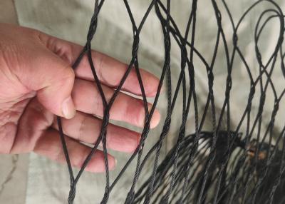 China Black Oxidized 2.0mm Cable Zoo Mesh  Rope Mesh 60*60mm SS304 Zoo Rope Netting for sale