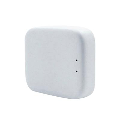 China Factory Sale Zigbee Wifi Ble Mesh Hub Voice Control Smart Gateway Zigbee Meter G06 for sale