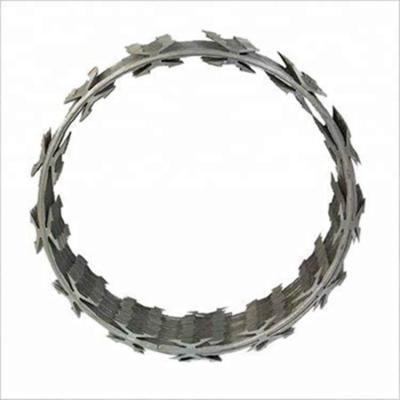 China Great Protection Alibaba Express Best Price And High Quality Hot Electric Razor Dipped Galvanized Barbed Wire For Fence for sale