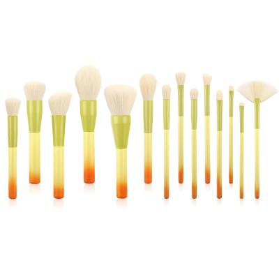 China Angular Blush Hot Sale 14pieces New Amazon Style High End Colorful Color Makeup Brushes for sale