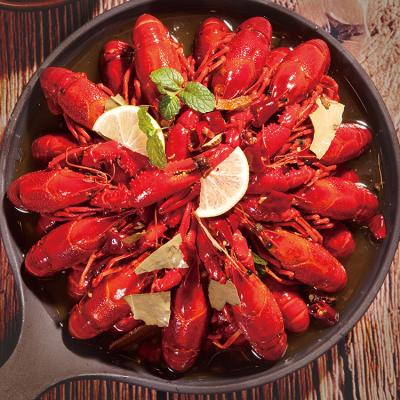 China FROZEN frozen cooked spicy flavor crayfish with shell for sale