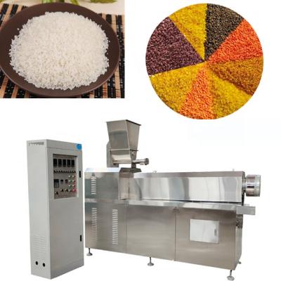 China Factory Automatic Nutritional Rice Protein Powder Making Rice Extrusion Enriched Production Line PLC for sale