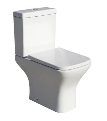 China New Model Double-Flow European Sanitaryware Wall Mounted Luxury Toilet for sale