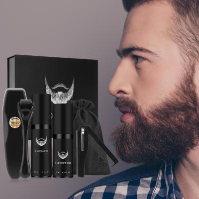 China Premium Beard Growth OEM Beard Care Soften To Strengthen Beard Oil Set Beard Growth Kit For Men for sale