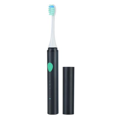 China Teeth Cleaning Travel Top Sonic Case Rechargeable Electric Toothbrush Private Label Power Dupont Bristle Soft Brush Head for sale