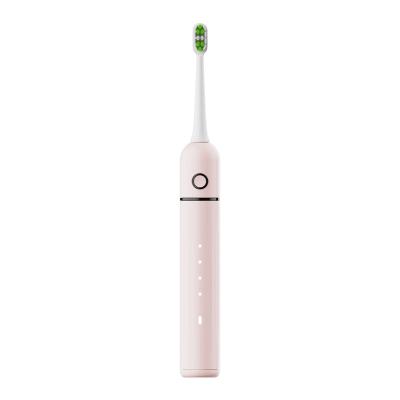 China Teeth Cleaning Factory Sale Multifunctional 4 Travel Mode Adult Intelligent Sonic Electric Toothbrush With Timer for sale