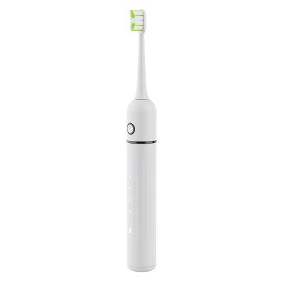 China Teeth Cleaning Hot Sales Electric Toothbrush Dental Soft Smart Private Label With 2pcs Replacement Head for sale