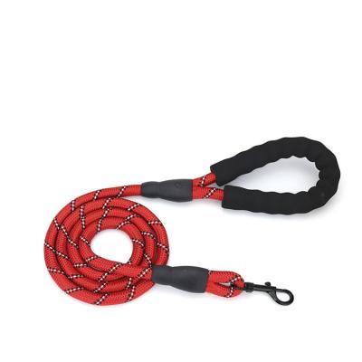 China New High Quality Custom Pet Products Color Stocked Nylon Rope Dog Climbing Leash for sale