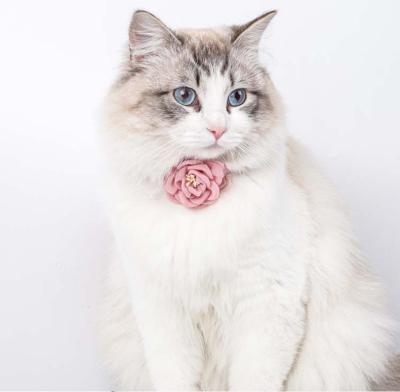 China Wholesale Stylish Collar Stocked Cat Collar Breakaway Buckle Flower Camellia Pet Cat Collars Cotton Polyester for sale