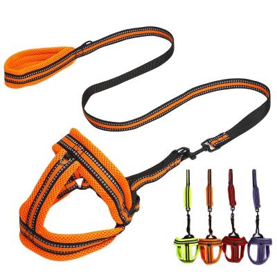 China Hot-selling Personalized Mesh Dog Harness With Leash E-commerce Pet Harness Set Nylon Material Dog Harness for sale