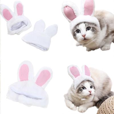 China Cute Pet Stocked Bunny Ear Pet Cat Headgear Cat Hair Accessories Performance Costume Props Pet Hat for sale