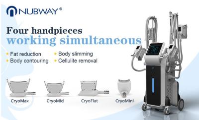 China 4 handles Cryo Therapy Cool Sculpture Zeltiq cryolipolysis machine 2018 for sale