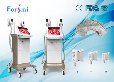 China Fat freeze machine 3.5 inch handle scree Cryolipolysis Slimming Machine FMC-I Fat Freezing Machine for sale