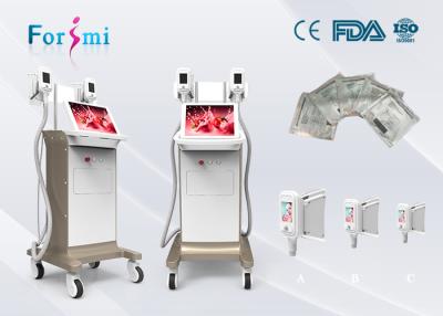 China cavitation rf vacuum 3.5 inch Cryolipolysis Slimming Machine FMC-I Fat Freezing Machine for sale