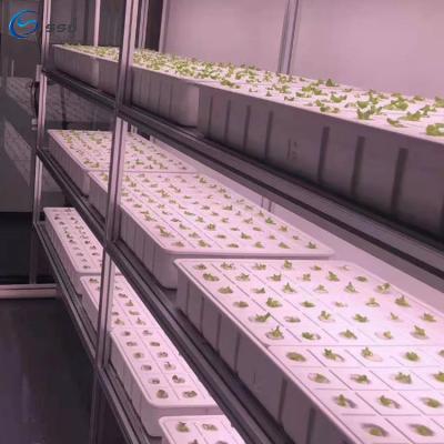 China Temperature Climate Control 40 ft Container Soilless Cultivation Greenhouse Smart Hydroponic Vertical Farming System for sale