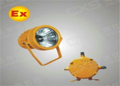 China Stationary Ex-Proof MH / HPS IP65 Floodlight For Electricity Industry Lighting for sale