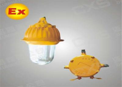 China CE Halide Light 400w Ex-Proof Light , HPS / MH Explosion Proof Light Fittings for sale