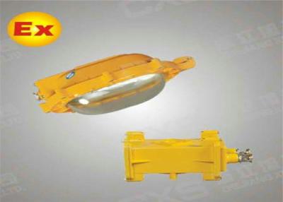 China Explosion-Proof Indoor Emergency Metal Halogen Light , 35w / 70w  MH / HPS for sale