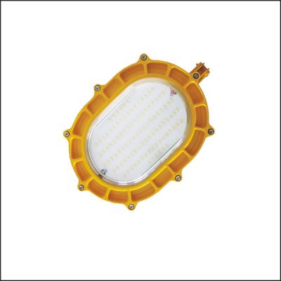 China Custom AC220v Indoor And Outdoor LED Explosion Proof Lights IP65 for sale