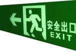 China IP65 Emergency Exit Light Explosion Proof Light Fittings For Indoor / Outdoor Workplace for sale