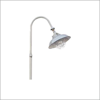 Chine Lampe anti-déflagrante de plate-forme de lumière de secours de source lumineuse de MH pour la rue à vendre