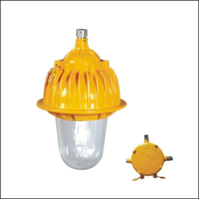 China 250W / 400W Explosion Proof Light Fittings For Explosive Industry IP65 50Hz for sale