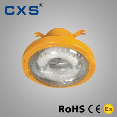 China Electrodeless Lamp Explosion Proof Light Fittings Low Power 80W IP65 for sale