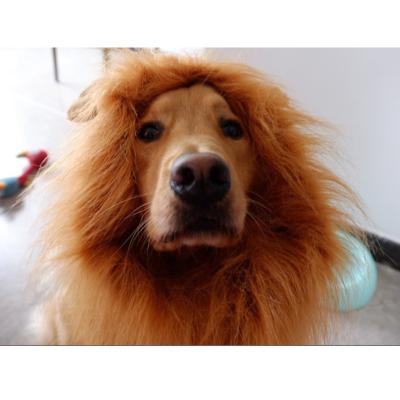 China Lion Hair Dogs And Cats Dog Pet Hat Viable Ears Wig Head Party Dog Halloween Hat Dress Up Costume Pet Hats for sale