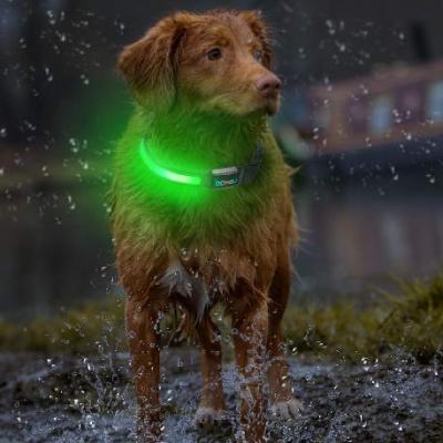 China Waist-Quality Nylon LED Dog Supre Glow Collar Waterproof Lights For Night Safety Flashing Glow for sale