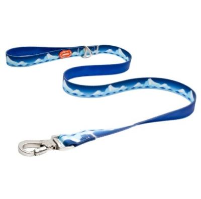 China Laroo Durable Waterproof Durable Sturdy PVC Dog Lead Leash Heavy Duty Alloy Anti-Shedding Buckle for sale