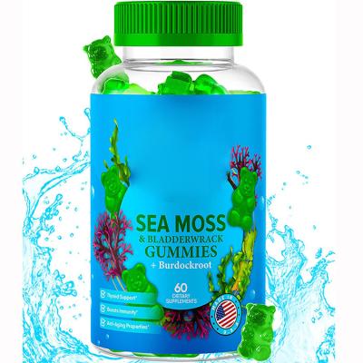 China Increase Immunity & Organic Sea Moss Gummies For Kid Adults Skin Immune Weight Loss Wholesale Vegan Vitamin Apple Cider Vinegar Private Label Energy for sale