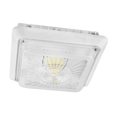 Cina Lampade del baldacchino della cucina 120V 40W 5000K IP65 LED in vendita