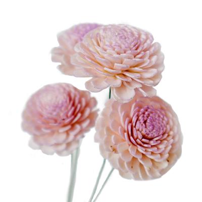 China Nature Factory Factory Wholesale Preserved Sola Flower Forever Flowers For Wedding Deco Dried Flower for sale