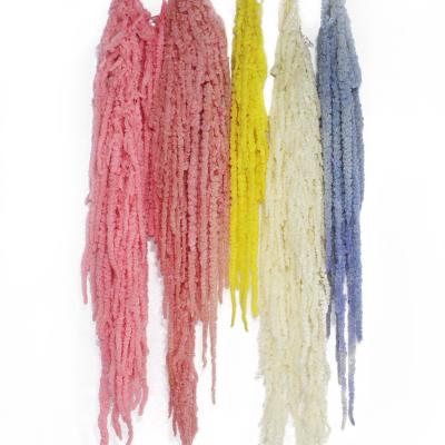 China Occasion Preserved hanging dry amarantus by bleached amarantus to wedding bouquet for sale