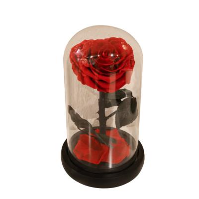 China Natural Eternal Heartache Real Glass Dome Roses Rose Forever Preserved Flower Glass Dome for sale