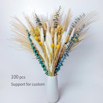 China 100 Pcs Natural Dried Tubular Dried Bouquet Flower Decoration Preserved Flower Bouquet Eucalyptus Pampas Grass New for sale