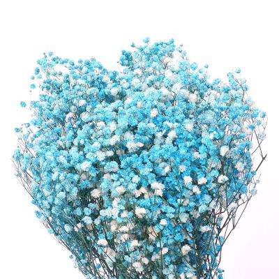 China Natural Flower Birthday Gift Artificial Colors Hand Bouquets Preserved Dried Fresh Flower Babysbreath for sale