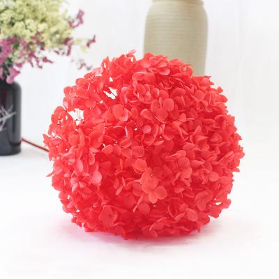 China Natural Touch Yunnan Fresh Preserved Flowers Preserved Stem Hydrangea For Christmas Festival for sale