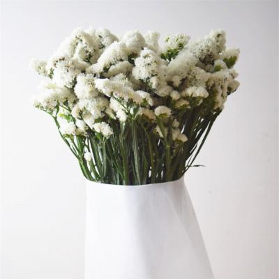 China Wholesale fresh flower forget-me-nots for decoration 60-80cm for sale