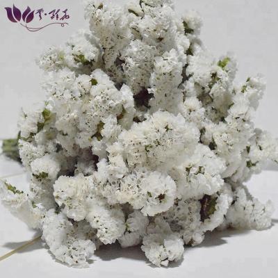 China Wedding/colorful fresh forget-me-not ceremonial/home export/decoration of cut flowers for holiday party for sale