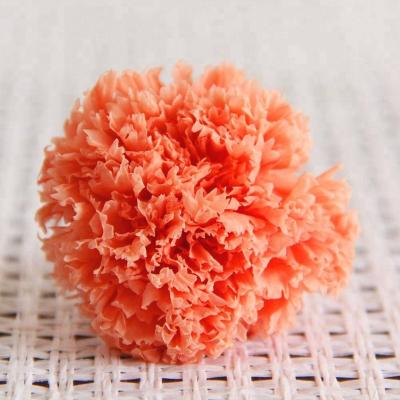 China Wedding& Home decoration/celebration/party/gifts hot sale and wholesale 5-6cm diameter high quality preserved natural flowers for sale