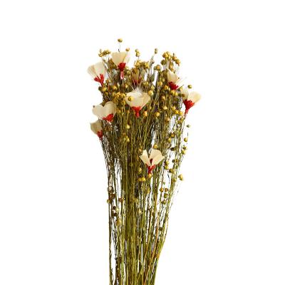 China Sumflora Green Fashion Handmade Environmental Protection Dry Flowers Of Natural Plant Dried Bouquet Of Dried Flowers Flowers for sale